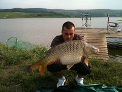 ccarp